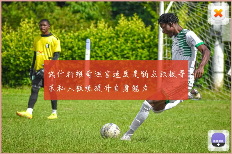 武什科维奇坦言速度是弱点积极寻求私人教练提升自身能力